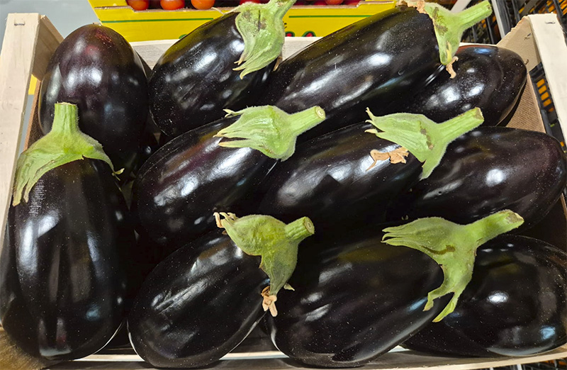 Melanzana ovale - Sicilia - 1,20/1,50 euro al chilogrammo